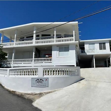 Los Roires Beach Apartments Fajardo Exteriér fotografie